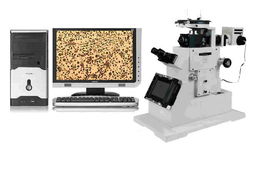 KL X2000型铸造金相数码图像分析系统 高清大图与风动电动工具制造中的应用